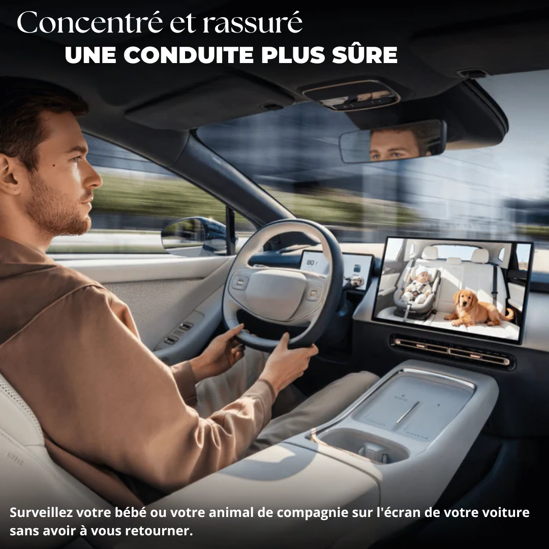 Adaptateur CarPlay Ottocast PRO®